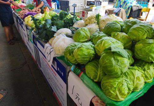 摆摊免费吃瓜,摆摊文化新潮流  第1张